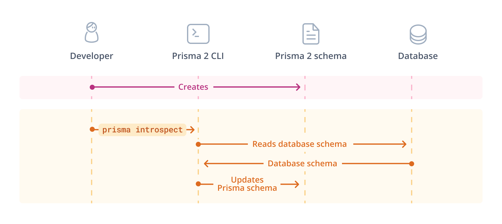 Prisma CLI introspection flow